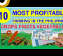 ဗီဒီယို- ဖိလစ်ပိုင်တွင် အမြတ်အစွန်းအများဆုံး လယ်ယာလုပ်ငန်း ၁၀ ခု ရင်းနှီးမြုပ်နှံမှု