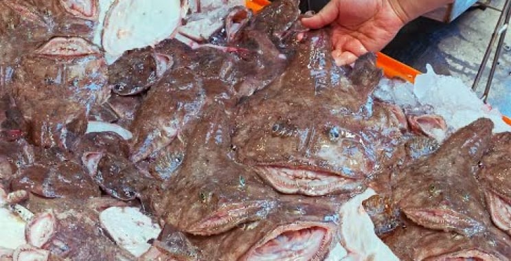 Shocking Seafood！Lots of Monkfish Catching inTaiwan, Monk Fish Cooking /驚人港口海鮮！大量安康魚捕捉, 台灣安康魚料理-蘇澳漁港