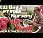 ဗီဒီယို။ Beginners များအတွက် ပန်းစိုက်ပျိုးခြင်းလုပ်ငန်းကို ဘယ်လိုစတင်မလဲ။