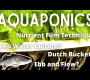 Aquaponics စနစ်များ ဒီဇိုင်းများ ရှင်းလင်းချက် || NFT vs Ebb နှင့် Flow vs DWC vs Dutch Bucket