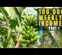 ယခင် OFW သည် Farming | ငှက်ပျောစိုက်ပျိုးခြင်းဆိုင်ရာ အကြံပြုချက်များ | ငှက်ပျောစိုက်ပျိုးရေး ၀င်ငွေ Jingle နှင့် Jam TV