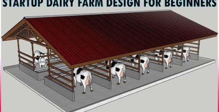 နွား ၁၀ ကောင်အတွက် ရိုးရှင်းသော ခေတ်မီနို့ထွက်မွေးမြူရေးခြံ ဒီဇိုင်း Cow Farm Beginners Guide