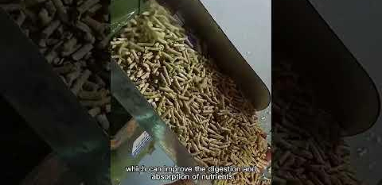 အစာကျွေးခြင်း pellet machine ကိုအသုံးပြုခြင်းအကျိုးသက်ရောက်မှု