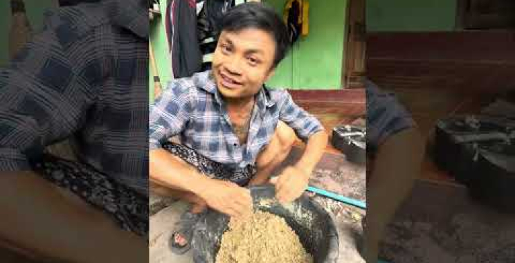 ဗီဒီယို။ အိမ်ကြက်အတွက် ကိုယ်တိုင်စာပြုလုပ်နည်း