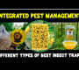 ဗီဒီယို။ Integrated Insect and Pest Management