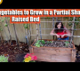 ဗီဒီယို။ တစ်စိတ်တစ်ပိုင်း အရိပ်မြှင့်ထားသော အိပ်ရာဥယျာဉ်တွင် စိုက်ပျိုးရန် ဟင်းသီးဟင်းရွက်များ