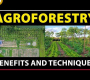 ဗီဒီယို။ စိုက်ပျိုးရေး- စဉ်ဆက်မပြတ် စိုက်ပျိုးမွေးမြူရေး၏ အနာဂတ်- အကျိုးကျေးဇူးများနှင့် နည်းပညာများကို မိတ်ဆက်