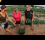 ဗီဒီယို။ မိန်းကလေးများသည် လယ်သမားများကို အကောင်းဆုံးလုပ်ကြသည်။