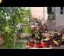ဗီဒီယို။ My Neighbor’s Garden Overview ??