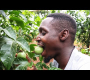 ကြမ်းတမ်းခြောက်သွေ့သောအချိန်များတွင် အသီးအနှံများနှင့် ဟင်းသီးဟင်းရွက်များကို စိုက်ပျိုးပါ