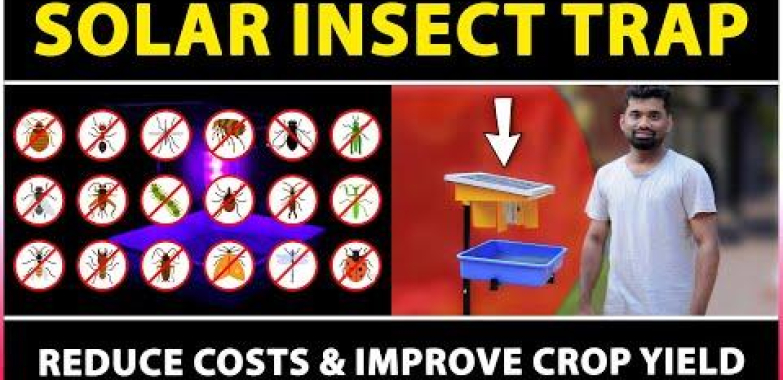 Solar Light Insect Trap | စိုက်ပျိုးရေးအတွက် အကောင်းဆုံး နေရောင်ခြည် ပိုးမွှားထိန်းချုပ်ရေး ကိရိယာ