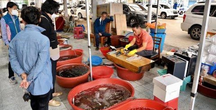 Ulsan Relishing puffer fish, gizzards, squid, and flatfish sashimi Korean sashimi master, Korean street food ထဲက “ဒဏ္ဍာရီဓားသမား၊ ဆာရှိမိသခင်”