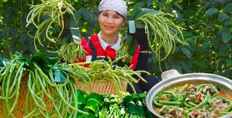 ဗီဒီယို။ Harvest Yard Long Bean ယိုးဒယားဈေးကွက်သို့ ယူဆောင်လာ – ဟင်းချက်ရောင်းချခြင်း။