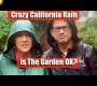 ဗီဒီယို။ Crazy California Rain – The Garden ဟုတ်ပါသလား။