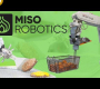 ဗီဒီယို။ Miso စက်ရုပ်