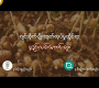 ဗီဒီယို။ ဂျင်းစိုက်ပျိုးထုတ်လုပ်မှုဆိုင်ရာ နည်းလမ်းကောင်းများ