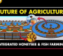 ပေါင်းစပ်ပျားရည်နှင့် ငါးမွေးမြူရေး – စိုက်ပျိုးရေး၏အနာဂတ်ဖြစ်ပါသလား။