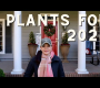 ဗီဒီယို။ 2024 တွင် ကျွန်ုပ်စိတ်လှုပ်ရှားမိသော အပင်များ- နှစ်စဉ်နှင့် နှစ်ရှည်ပင်များ