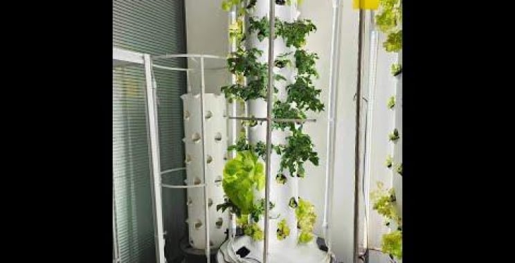 ဗီဒီယို။ Hydroponic Tower