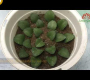 ဗီဒီယို။ ဖြတ်တောက်ခြင်းမှ ကျဆင်းလာသော ဒေါ်လာအပင်များ (ငွေပင်) ကို စိုက်ပျိုးနည်း ၂ မျိုး