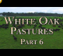 ဗီဒီယို။ White Oak Pastures- စံပြပြန်လည်ထူထောင်ရေးခြံ အပိုင်း ၆