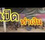 “ခေ့ခ်ျဘဲကမ်ဘဲလ် ဘဲမျိုး မွေးမြူနည်း – ဥများများဥ၊ အလျင်အမြန်ကြီး၊ မွေးမြူရလွယ်၊ အမြတ်အစွန်းများ”