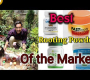 ဗီဒီယို။ ဘယ်ဟာက စျေးကွက်မှာ ရနိုင်တဲ့ အကောင်းဆုံး Rooting Hormone Powder ပါ။