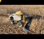 ဗီဒီယို။ Epic Cab Corn