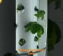 ဗီဒီယို။ Hydroponics Tower လှည့်ခြင်း။