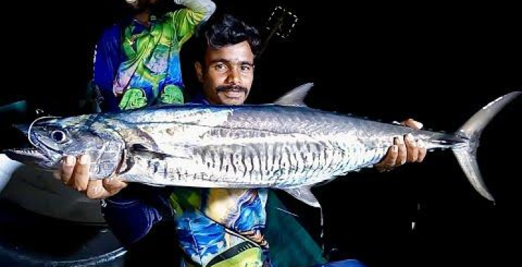 ပင်လယ်ထဲတွင် Barracuda ငါး၊ King Fish & Tarpon ငါးဖမ်းခြင်း – အပိုင်း ၁