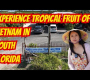 ဗီဒီယို။ Homestead, FL ရှိ ဝှက်ထားသော ဗီယက်နမ်သစ်သီးများ ပရဒိသု။
