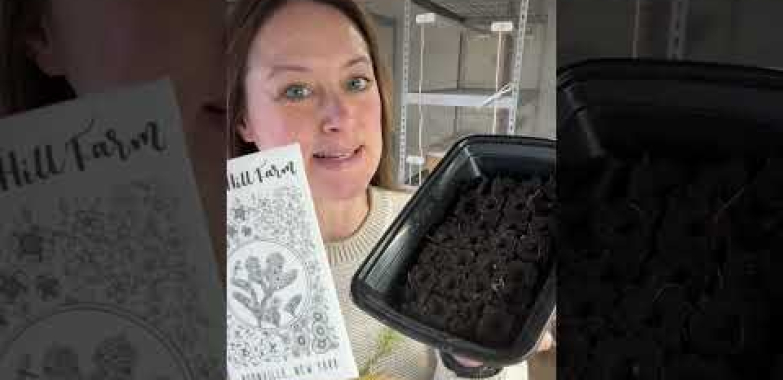 ဗီဒီယို။ 🌸 DAY 12 : Seed Marathon 🌸 စတင်ခြင်း။
