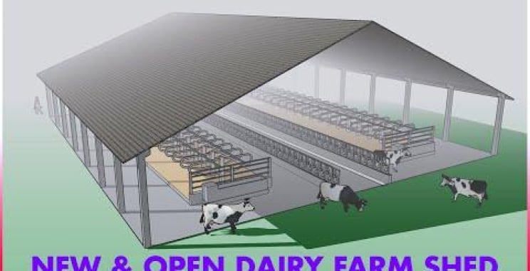 အသစ်ဖွင့် နို့ထွက်ခြံ ခရီးစဉ် | Dairy Farming Shed ဒီဇိုင်း