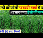 ရေကန် ဖေဖော်ဝါရီဖေဖော်ဝါရီ Me Bhindi Ki Kheti 2025